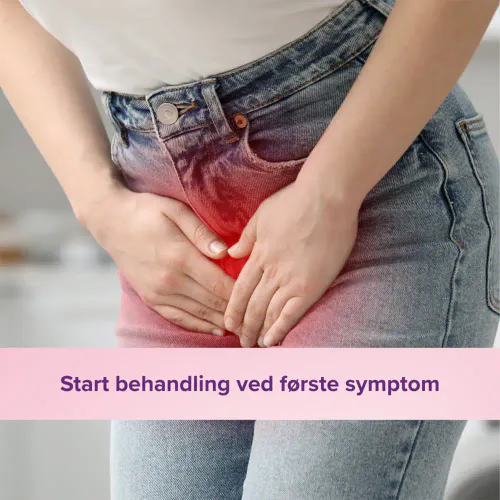 Cysticina Tabletter 40 stk