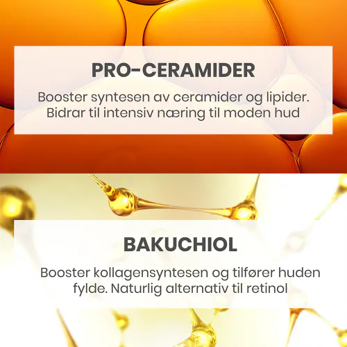 Avène DermAbsolu Redensifying Day Cream 50 ml