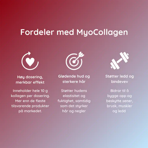 MyoCollagen Kollagenpulver 300 g
