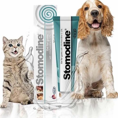 Stomodine Munngel Til Hund & Katt 30 ml 